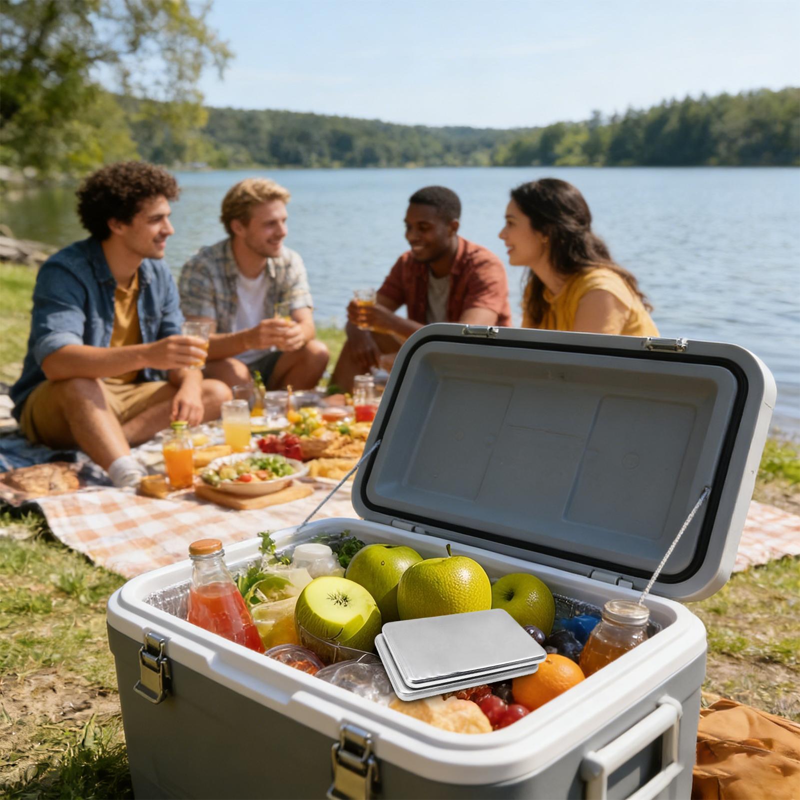 2個入りステンレス製アイスパック 長持ちする再利用可能なクー - Camping Cooking Box のレビューと価格